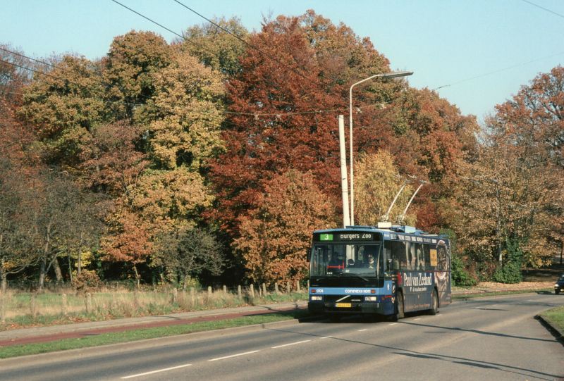 bus